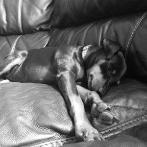 Meet your Posher, Ryan